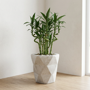Pot de fleurs en ciment géométrique moderne, finition sculptée à la main, léger, capacité de 500 ml, pour plantes vertes d'intérieur, jardinière minimaliste - Product Image 1