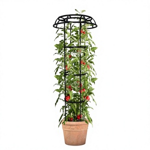 Soporte para Plantas de Hierro Negro con Altura Ajustable y Jaula Superior para Flores de Jardín al Aire Libre - Product Image 6