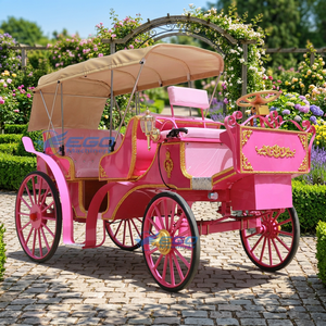 2026 Calèche de Mariage Victorienne de type Cendrillon pour Visites Touristiques, Couleur Personnalisée, Structure en Acier Électrique, Prix Usine, 6 Personnes - Product Image 1