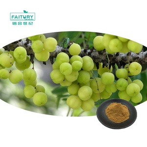 Faituri Organic <span class=keywords><strong>Amla</strong></span> <span class=keywords><strong>Berry</strong></span> <span class=keywords><strong>Powder</strong></span> Herbal Extract Fruit <span class=keywords><strong>Powder</strong></span> para Cabelo Atacado Soursop Fruit <span class=keywords><strong>Powder</strong></span> em Garrafa Drum Embalagem - Product Image 1