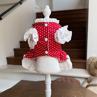 Tenues pour chats et chiens en dentelle douce et respirante, directement de l'usine, pour mariages, fêtes, anniversaires, festivals et célébrations spéciales