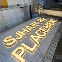 Lettres en relief 3D en acrylique personnalisées pour mur extérieur, rétroéclairées par LED, finition dorée polie, signalétique publicitaire pour entreprise, magasin, parc