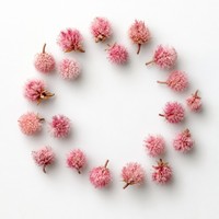 Thé aux fleurs d'albizia séchées 500g en vrac, thé naturel apaisant pour le sommeil, en feuilles, sans soufre