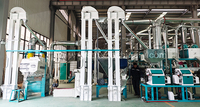 Machines de mouture de blé 10TPD, prix usine pour équipements de moulin à farine de blé industriel