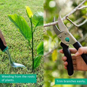 GT05A professionale giardino agricolo frutteto attrezzi da giardinaggio, attrezzi da giardino all'ingrosso - Product Image 5
