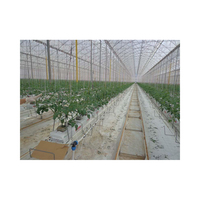 Offre Spéciale Légumes Fruits Fleurs Fraise Structure Stable Pc Feuille Culture Hors Sol