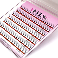 VEYES Vente en gros Ruban en grappe segmenté Faux cils de vison Kits de cils en plastique Cils segmentés coupés Nouveau Kit d'extension de cils à faire soi-même