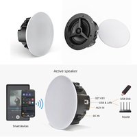 Haut-parleur de plafond sans fil 60W, double mode WiFi 2.4G/5G, BT5.4, USB, LAN, multiroom, AirPlay/DLNA, pour Home Cinéma et Fêtes