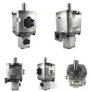 Pompe double DAESUNG-NACH IPH-22B,IPH-23B,IPH-24B,IPH-25B,IPH-26B,IPH-33B,IPH-34B,IPH-35B,IPH-36B,IPH-44B,IPH-45B,IPH-46B,IPH-55B