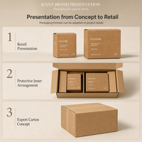 Boîtes d'emballage cosmétique en papier kraft brun uni, impression personnalisée du logo, écologiques