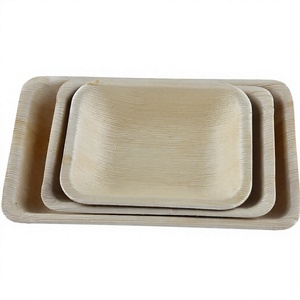 Vaisselle jetable en feuilles de palmier naturelles, plateaux biodégradables en feuilles de palmier pour les fêtes - Product Image 2