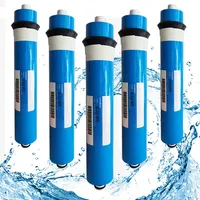 Système de filtration et de purification d'eau par osmose inverse (RO) avec membrane de remplacement 50/75/100/200/300/600 GPD pour le traitement de l'eau potable