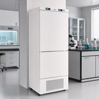 Personalizado -10 ° Congelador Vertical de Acero Inoxidable de 270L con Sistema de Alarma para Investigación Científica