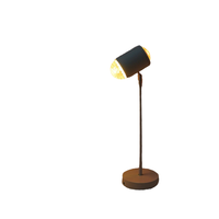 Projecteur d'ambiance AB moderne à double tête pour ondulations d'eau dynamiques, effet coucher de soleil, pour chambre et bureau