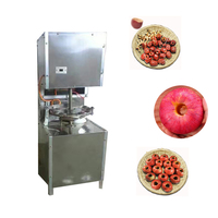Hoge kwaliteit best verkochte fruitpitverwijderingsmachine, kersenpitverwijderingsmachine, olijfpitverwijderingsmachine met fabrieks prijs