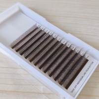 Nouvelles extensions de cils marron 3D/4D/5D en forme de W, longueurs mixtes 8-15mm, bouquets de volume préfabriqués tissés à la main, Cilios pour outils de maquillage