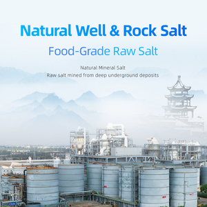 Sel <span class=keywords><strong>adoucisseur</strong></span> <span class=keywords><strong>d</strong></span>'<span class=keywords><strong>eau</strong></span> industriel 20 kg OEM pour le lavage de voitures et le traitement de l'<span class=keywords><strong>eau</strong></span> des chaudières à vapeur - Product Image 3