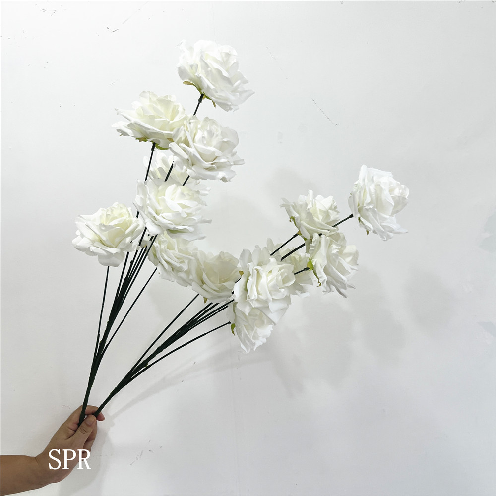 SPR-AF23823-21B