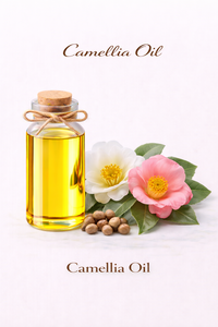 Huile de Camélia Pure Naturelle Pressée à Froid pour Soins de la Peau, des Cheveux et du Visage, Massage, Usage Cosmétique, Approvisionnement en Gros - Product Image 2