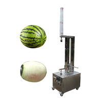 Machine d'épluchage d'éplucheur de peau de citrouille de pastèque de papaye d'automation élevée