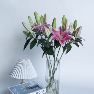 Flor fresca de clase mundial, lirio Rosa Real, Sorbona, proveedor de China - Product Image 2