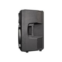 Haut-parleur PA actif compact en plastique pleine fréquence DASN DNR 15DQ 15 pouces 700W RMS DSP Audio pour extérieur, scène DJ et home cinéma