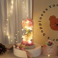 Lampu Hias Kaca Berbentuk Kubah dengan Bunga Hydrangea Awet Buatan Tangan Shangchu untuk Hadiah Hari Valentine dan Hari Ibu