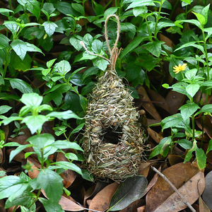 Nid d'oiseau tissé en herbe, taille moyenne, décoration de jardin faite à la main pour les oiseaux, origine Fujian - Product Image 2