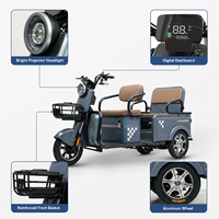Tricycle électrique d'usine pour personnes âgées avec moteur 800W Batteries 48V Véhicule électrique à 3 roues pour une utilisati
