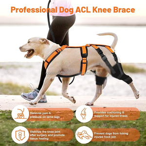 Attelle de <span class=keywords><strong>genou</strong></span> pour chien avec harnais réglable, attelle de <span class=keywords><strong>genou</strong></span> pour chien pour l'arthrose du <span class=keywords><strong>ligament</strong></span> <span class=keywords><strong>croisé</strong></span> antérieur, blessure du <span class=keywords><strong>ligament</strong></span> rotulien, douleur articulaire, attelles pour pattes arrière - Product Image 4