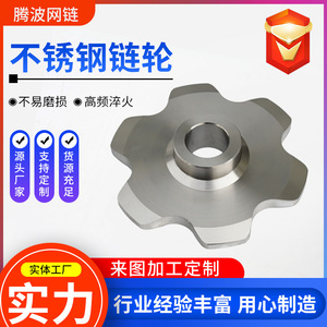 Pignon de chaîne à rouleaux Tengbo, 10 dents, pas de 12,7 mm, norme ANSI, acier inoxydable, engrenage d'entraînement industriel - Product Image 3