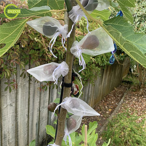 Mejor Bolsa <span class=keywords><strong>de</strong></span> Malla Antipájaros e Insectos para Huertos - Product Image 5