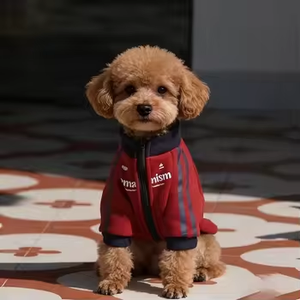 Mantel Hewan Peliharaan Klasik Beludru yang Lucu dan Hangat |   Jaket Anjing Beritsleting Tebal |   Pakaian Musim Gugur dan Dingin Bergaris untuk Ras Anjing Kecil - Product Image 5