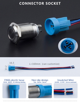 Tombol Tekan Logam dengan Lampu LED Datar 12mm, Tombol Reset dengan Pengunci, Tahan Air On/Off IP65 untuk Otomotif dan Kapal