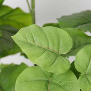 Planta Artificial <span class=keywords><strong>de</strong></span> Ficus Rumphii en Maceta, Adorno <span class=keywords><strong>de</strong></span> Jardín para Oficina, Decoración del Hogar, Plantas Artificiales, Vegetación - Product Image 2