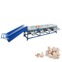 Geavanceerde industriële knoflook sorteermachine met hoogwaardige automatische maatclassificatietechnologie