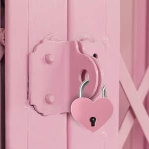 2025 सबसे ज्यादा बिकने वाले नए उत्पाद लाल रंग जिंक मिश्र धातु बैग सुरक्षा लॉक गिफ्ट पैडलॉक - Product Image 6