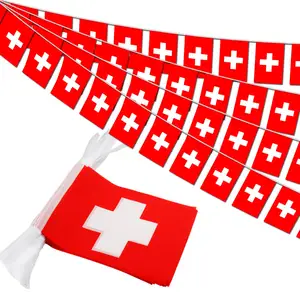 Nuoxin grosir spanduk Swiss Country Pennant Swiss bendera String untuk dekorasi acara olahraga