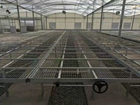 Invernaderos Tropicales de Policarbonato PC y Sistemas de Cultivo Hidropónico Comercial para Tomate, Lechuga y Fresa