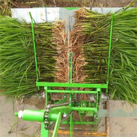Transplanteur de riz manuel professionnel et semoir de précision, outil permettant de gagner du temps et de l'effort