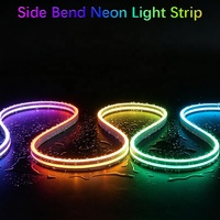 Bande LED néon en silicone pur, taille mini 4*8mm, pliable sur le côté, découpable librement, lumière LED flexible à changement de couleur RGBIC DC5V