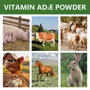 Vente en gros de vitamines et suppléments de santé en poudre pour la croissance des chevaux Calcium musculaire articulaire de chevaux de course - Product Image 5