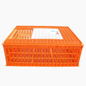 Big Size Live Poultry Cage Transport Crate/Plastic Live Chicken Cage Transport Crate