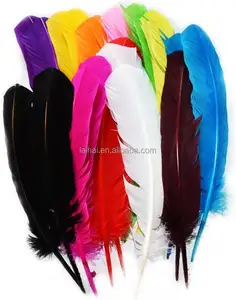 Carnival feathers 25-30cm Customized types 10-12'' Turkey feather quill wing for samba dance headdress costume cloth decor