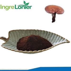 Nhà máy cung cấp trực tiếp Reishi bào tử bột Reishi bào tử shell-bị hỏng bột <span class=keywords><strong>Ganoderma</strong></span> <span class=keywords><strong>lucidum</strong></span> bào tử bột với giá bán buôn - Product Image 2