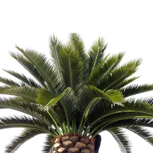 Al aire libre Anti-ultravioleta larga vida Artificial Evergreen plantas árboles decoración Artificial Fecha de árbol de palma
