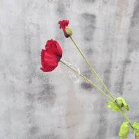 Fleurs de pavot artificielles en soie réalistes de haute qualité, 2 tiges, faites à la main, vente en gros pour mariage, Pâques, fête, photographie à domicile