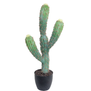 <span class=keywords><strong>Colonne</strong></span> de <span class=keywords><strong>cactus</strong></span> artificielle en plastique de qualité supérieure avec fourches à main - Écologique et durable pour la décoration commerciale/bureau/maison/hôtel/banquet - Product Image 4