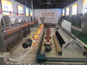 Compre Comederos y <span class=keywords><strong>Bebederos</strong></span> Automáticos <span class=keywords><strong>para</strong></span> Aves de Corral, Equipo de Granja <span class=keywords><strong>para</strong></span> una Alimentación Eficiente de Pollos - Product Image 6