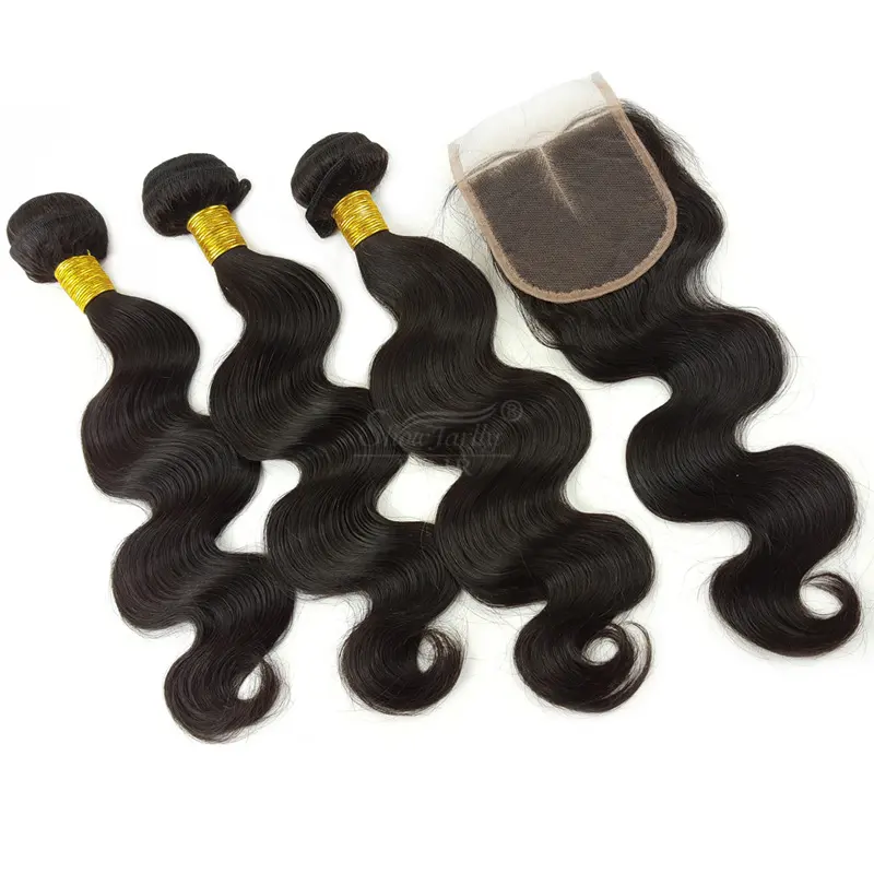 Showjarlly Betaalbare 100% Human Hair 100G/Bundel Remy Vrigin Braziliaanse Rauwe Hand Gebonden Haarbundels & Sluitingen